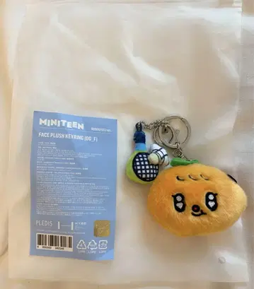 SEVENTEEN 성광 MINITEEN 팝업 키링