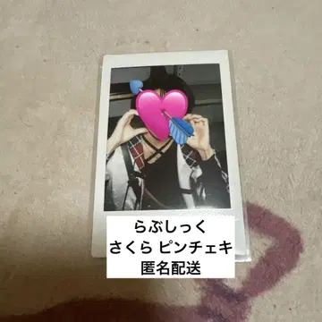 라부시쿠 사쿠라 핑 폴라로이드