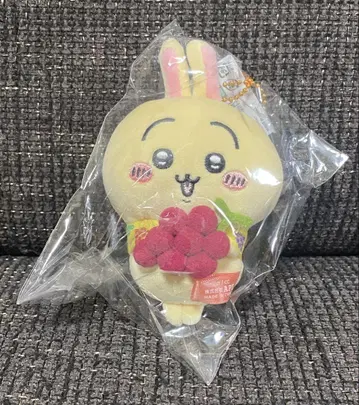 치이카와 토끼 봉제 인형 키체인 포도 야마나시 한정판