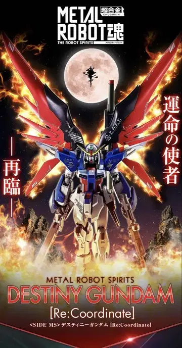 METAL ROBOT 데스티니 건담 [Re:Coordinate]