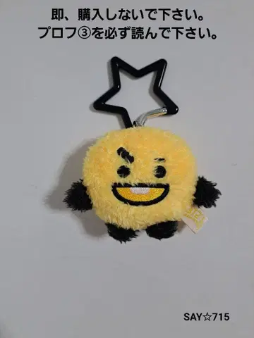 BTS 레인보우 컬러 마스코트 로프트 한정판 shooky