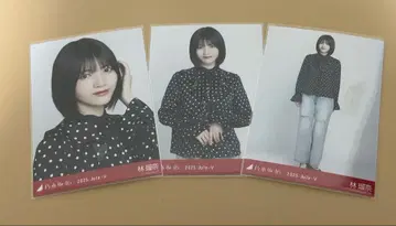 노기자카46 브로마이드 오사카 도트 하야시 루나 컴프