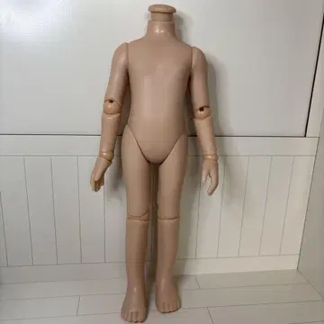 파올라 레이나 파올라 인형 가동 바디 커스텀