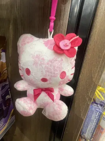 하와이 일광화상 키티