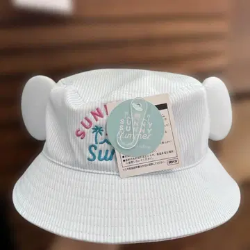 햇 58cm 칩과 데일 SUNNY SUNNY Summer 디즈니