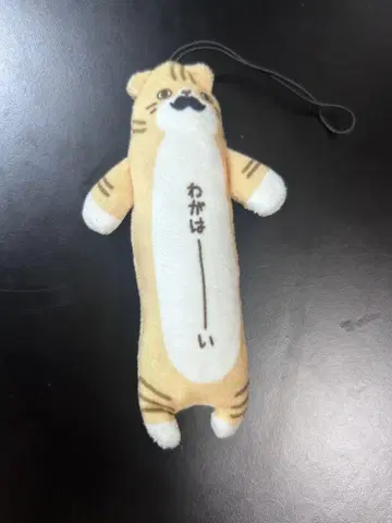 노비네코 도고 한정판 와가하이 마스코트