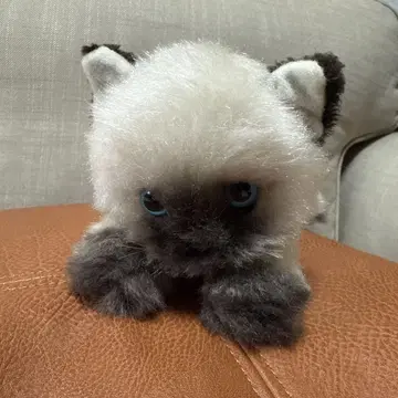 산에이 봉제 인형 쇼와 고양이 샴 고양이 새상품급