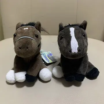 아이돌 호스 딥 임팩트 이쿠이녹스 봉제 인형 공 체인