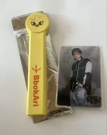 StrayKids 흠집 SKZOO