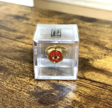 미사용 새상품 POINTLESS JOURNEY Toy Ring