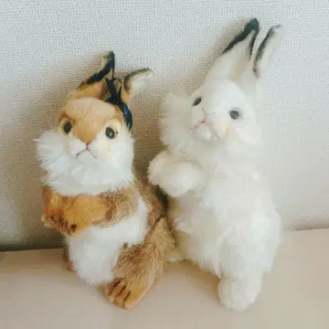 한사 토끼 봉제 인형