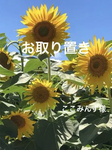 물 풍선 참