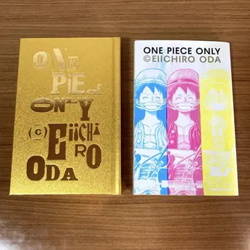 ONEPIECE ONLY 전람회 도록 2개