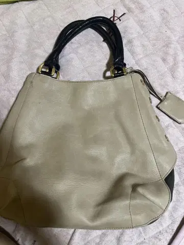 플루라 백