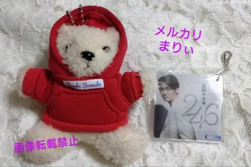 사나다 나오키/246 키링 곰 봉제 인형 베니