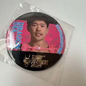 드래곤 게이트 드래곤 다이아 선수
