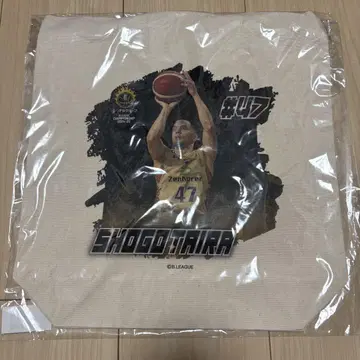 히라 라 쇼고 선수 토트백 SR 모바 가챠