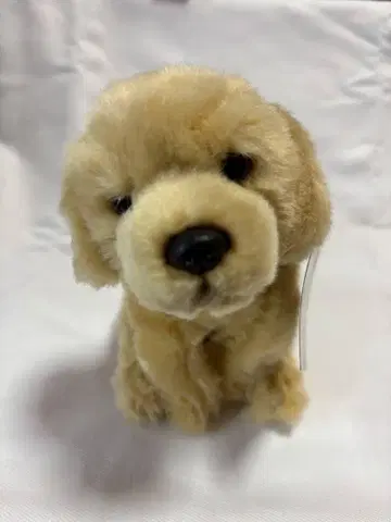 베이지색 봉제 인형 래브라도 리트리버 REGALO
