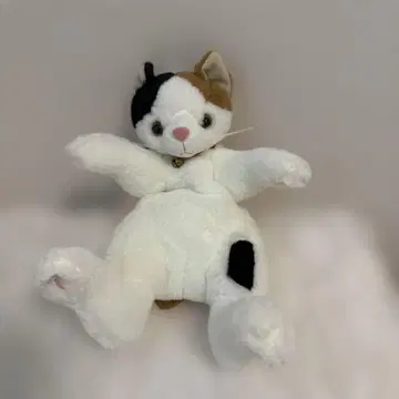고양이 봉제 인형 삼색 고양이 삭스 포함
