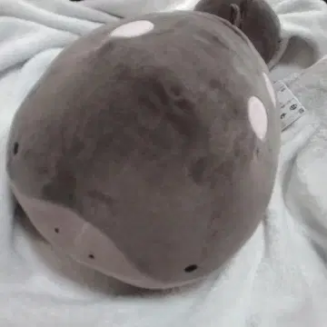 포켓몬스터 포켓몬 메차모구토 봉제 인형 도오 미사용