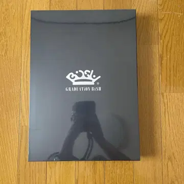 GRADUATION BiSH 아트 북 2015-2016