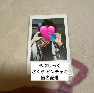 라부시쿠 사쿠라 핑 폴라로이드