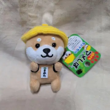 여행하는 콩 란도셀