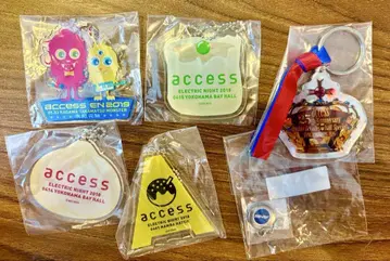 access 키링의 다양한 세트