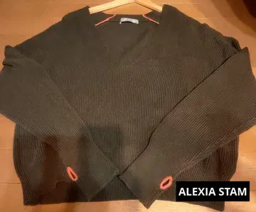 ALEXIA STAM 브라운 V넥 니트 스웨터