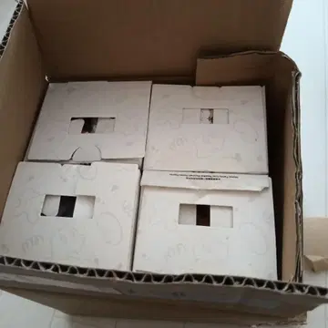데일 칩 플루토 구피