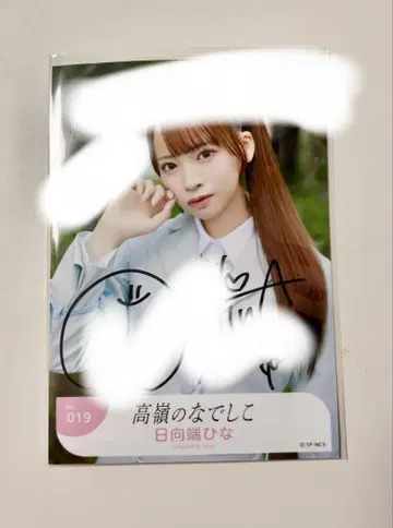 타카미네 나데시코 브로마이드 직필 히나타 히나타