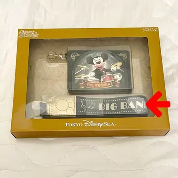 디즈니 빅뱅 비트 BBB 카메라 스트랩 카메스트 팬더풀