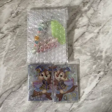 칩과 데일 참 포함 스트랩 써니 써니 썸머 카드