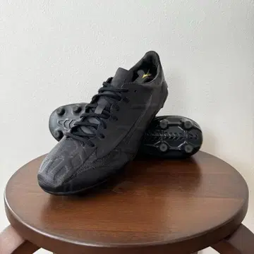 미즈노 알파 재팬 2 mizuno 재팬