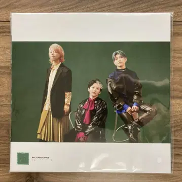 Mrs. GREEN APPLE 10 LP 사이즈 사진 포스터 19장 세트