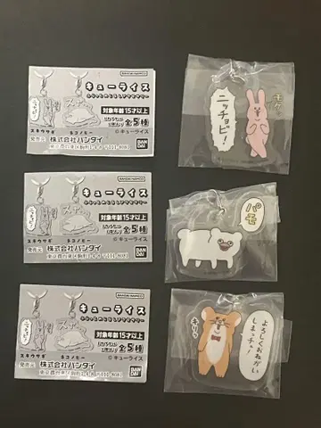 큐 라이스 후라토 메지루시 액세서리 3개 세트