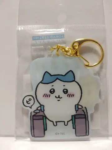 치이카와 (먼작귀) 도쿄 기념품 렌티큘러 아크릴 키링 잔액 부족