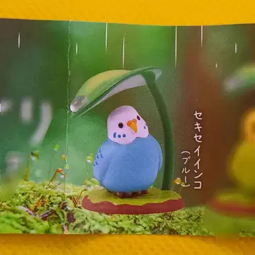 세키세이 잉꼬(블루) 아마야도리 마스코트 피규어 3개