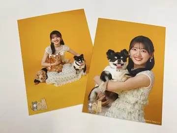 사사키 미레 과거 의상 시크릿 곰 아오 축제 의상