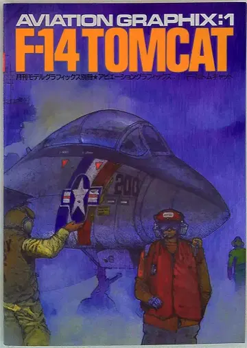 대일본 회화 애비에이션 그래픽 F-14 톰캣