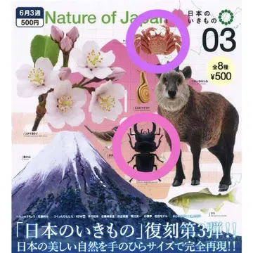 NatureofJapan 일본의 생물 가챠