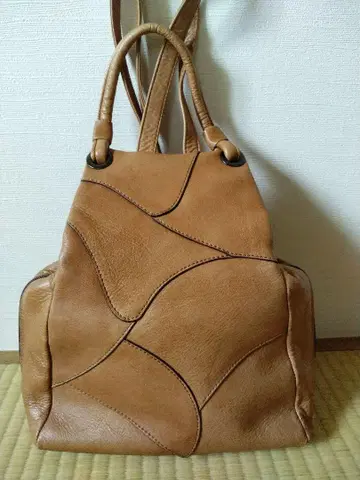럭색 레이디