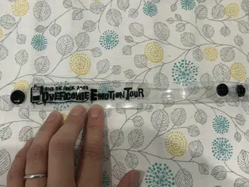 ONE OK ROCK 2009 클리어 밴드