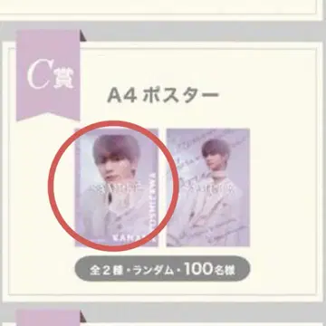 요시자와 요토 스크래치 C상 A4 포스터