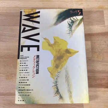 WAVE 5 메타 픽션