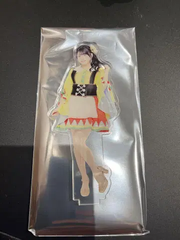 AKB48 다이마루 도쿄점 의상전 아크릴 스탠드 헝겊 가방