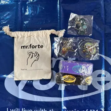 Mr.forte 가챠가챠 2025