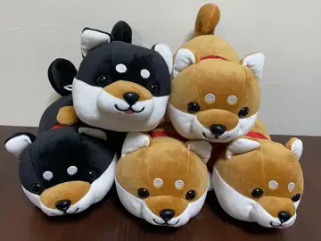 마메시바 복권 해피 마메시바 4등 5개 세트