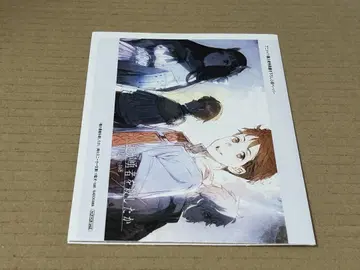 누가 용사를 죽였는가 SS 포함 페이퍼