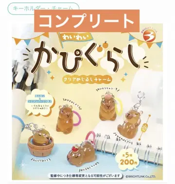 카피구라시 메지루시 액세서리 메지루시 참 컴프
